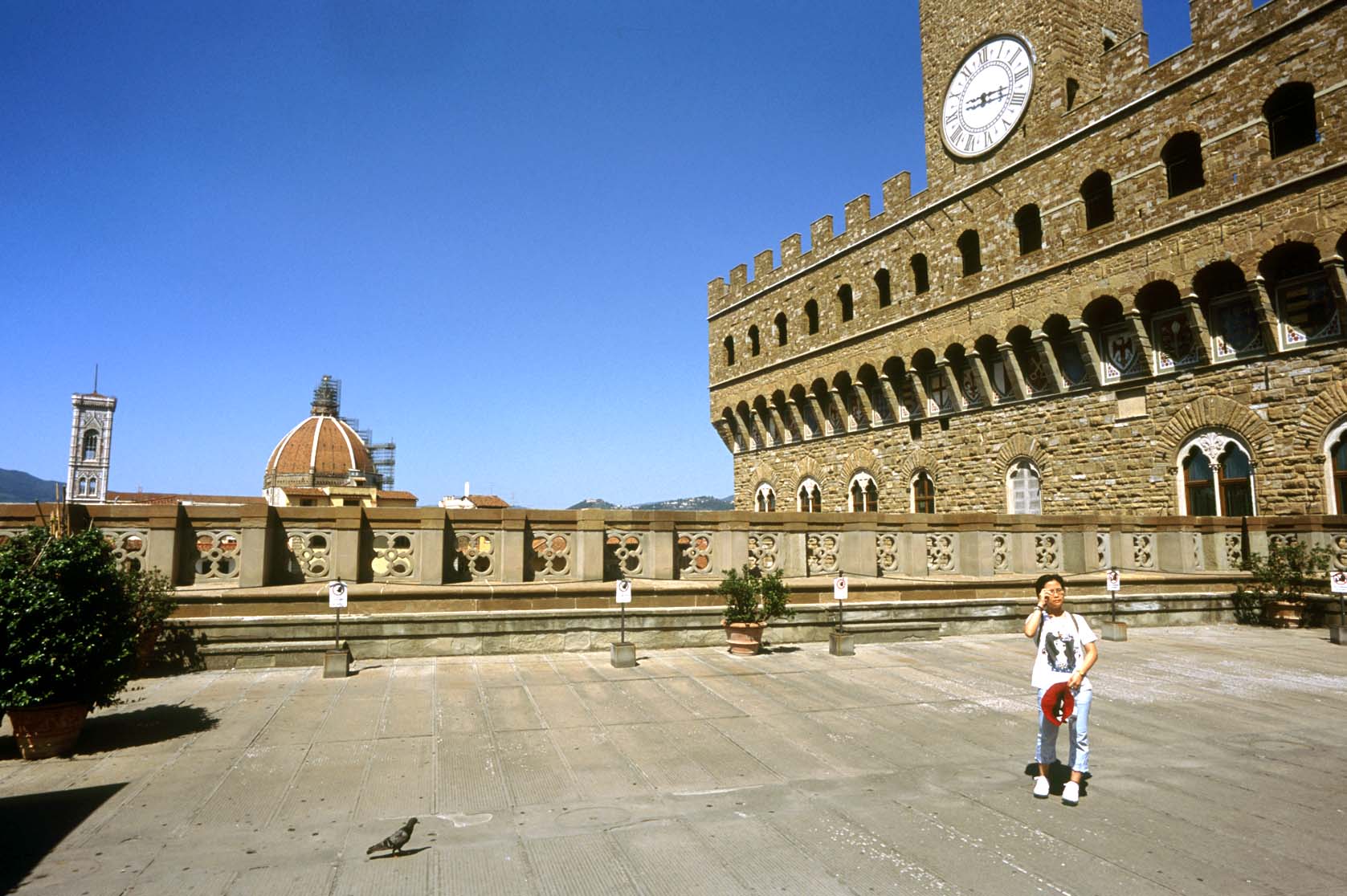 Palazzo Vecchio image