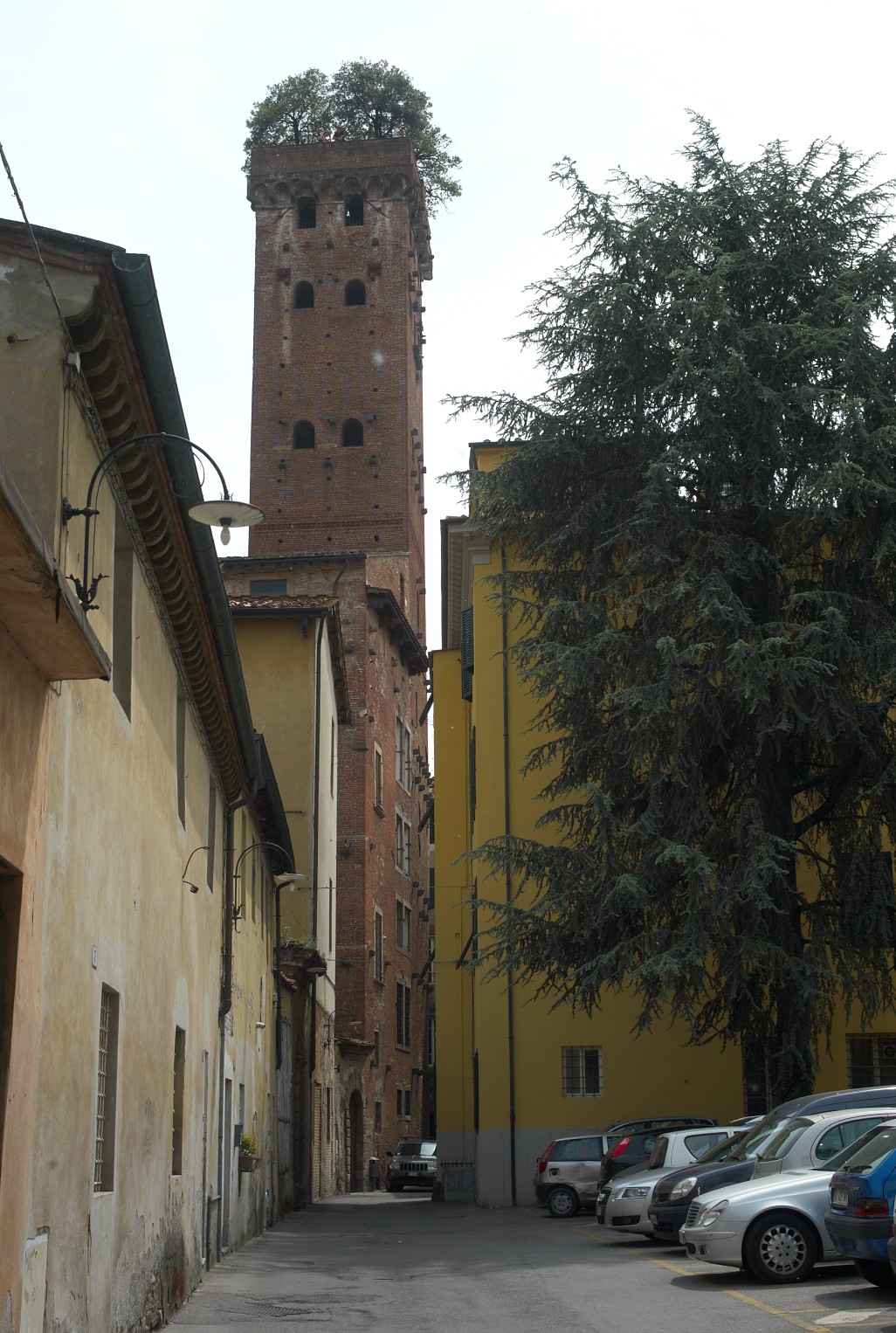 Torre Guinigi image