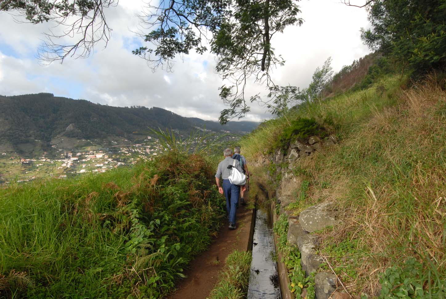 Levada