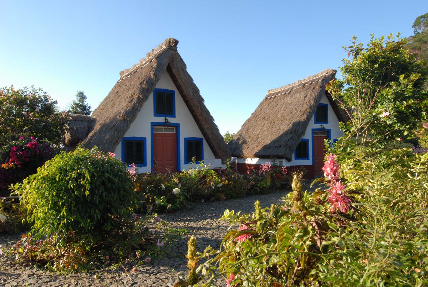 Traditional houses