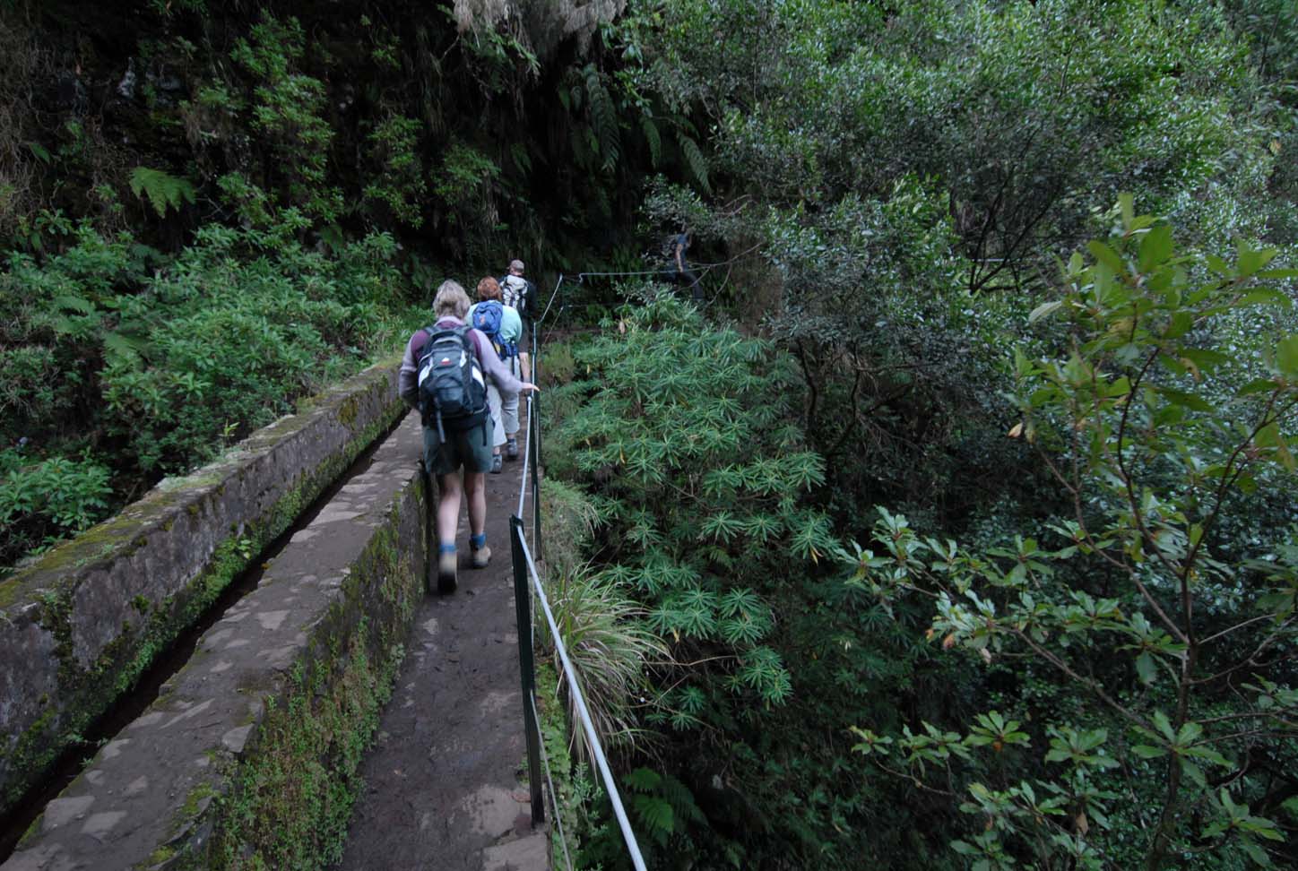 Levada