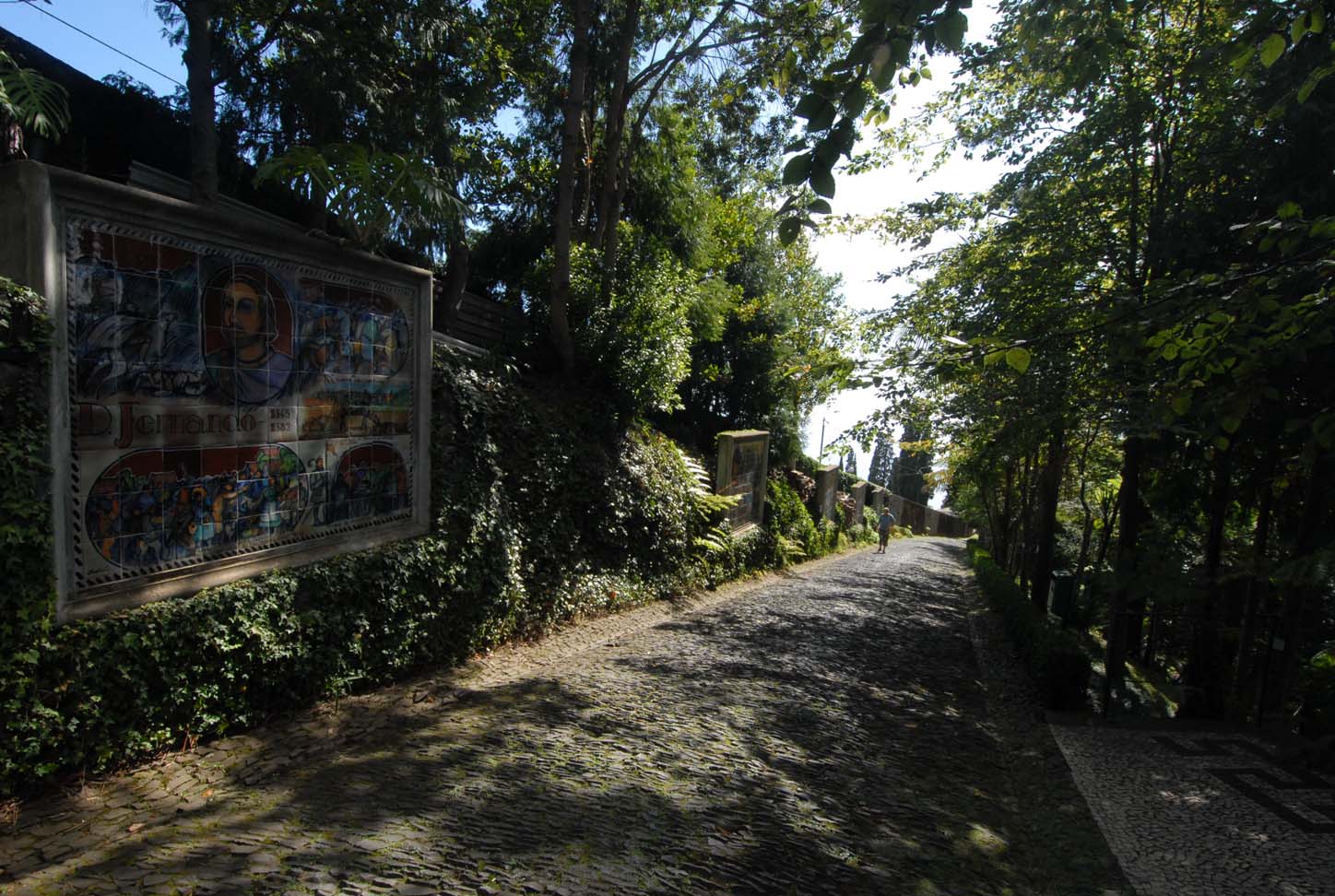 Jardim Tropical