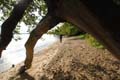 image.27