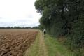 image.8