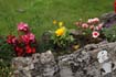 image 84